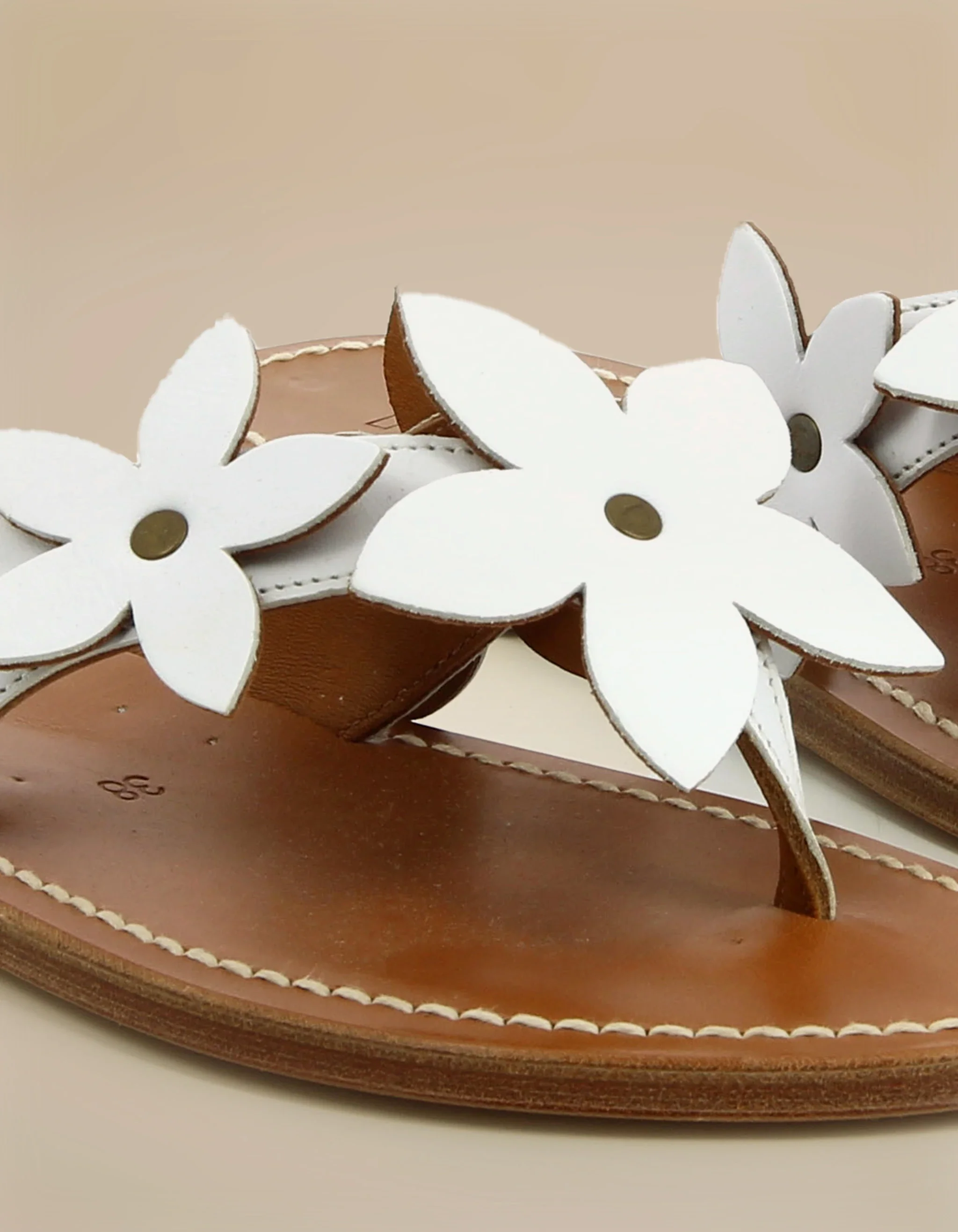 ADER - Image 2