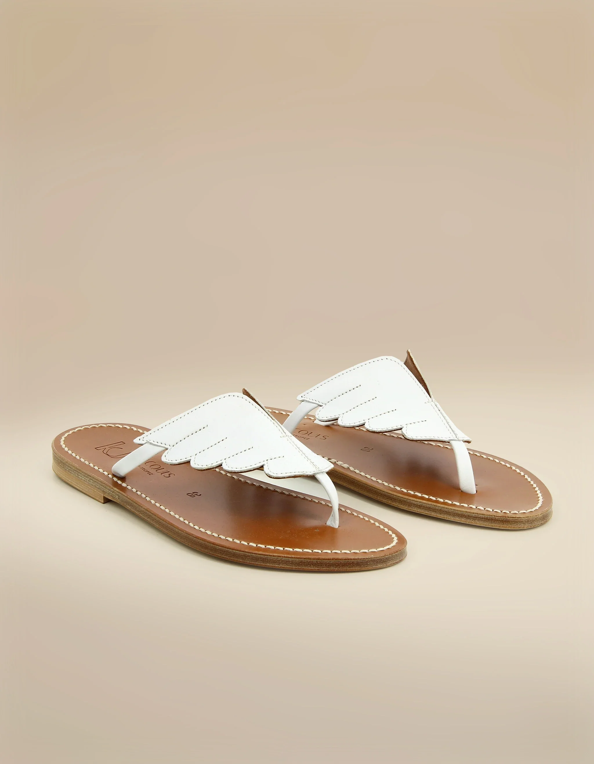 ICARE - Image 2
